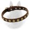 Belgian Malinois Leather Dog Collar with Brass Doted Circles