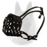 Up-to-date Stylish Leather Padded Belgian Malinois Muzzle