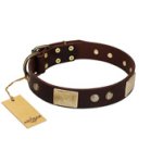 "Middle Age" FDT Artisan Brown Leather Belgian Malinois Collar with Old Bronze-Plated Engraved Flowers and Large Plates