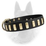 Gorgeous Wide Leather Dog Collar With Plates