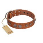 "Brave Spirit" Handmade FDT Artisan Designer Tan Leather Belgian Malinois Collar with Shields