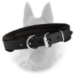 Padded Leather Dog Collar 1 inch Wide For Belgian Malinois