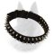 Belgian Malinois Nylon Dog Collar with 2 Rows of Nickel Spikes