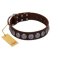 "Charming Circles" FDT Artisan Brown Leather Belgian Malinois Collar with Silver-like Studs