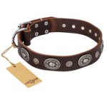 "Extra Pizzazz" FDT Artisan Adorned Brown Leather Belgian Malinois Collar