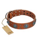 "Blue Sands" FDT Artisan Tan Leather Belgian Malinois Collar with Silver-like Studs and Round Conchos with Stones
