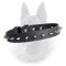 Belgian Malinois Spiked Leather Dog Collar with 1 Row of Nickel Spikes
