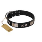 "Pitch Dark" FDT Artisan Black Leather Belgian Malinois Collar with Stars and Plates