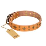 'Top-Flight' FDT Artisan Adorned Tan Leather Belgian Malinois Collar