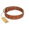 "Dreamy Gleam" FDT Artisan Tan Leather Belgian Malinois Collar Adorned with Stars and Squares