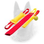 Amazing Belgian Malinois Puppy Training Set with a Great Present