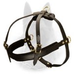Padded Leather Belgian Malinois Harness for Pulling & Tracking