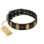 "Doggie Woggie" Designer Handmade FDT Artisan Black Leather Belgian Malinois Collar with Ovals and Studs