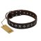 "Stars of Glory" FDT Artisan Brown Leather Belgian Malinois Collar for Comfortable Walking