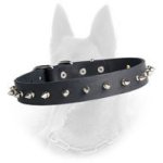Belgian Malinois Spiked Leather Dog Collar with 1 Row of Nickel Spikes