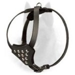 Fabulous Belgian Malinois Leather Harness with Easy Adjustable Straps for Training Puppies