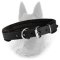 Padded Leather Dog Collar 1 inch Wide For Belgian Malinois