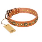 "Feast of Luxury" FDT Artisan Tan Leather Belgian Malinois Collar with Old Bronze Look Circles