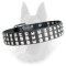 Belgian Malinois Studded Leather Dog Collar with 3 Rows of Nickel Pyramids