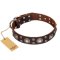 'Age of Beauty' FDT Artisan Incredible Studded Brown Leather Belgian Malinois Collar
