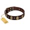 "Bronze Idol" FDT Artisan Brown Leather Belgian Malinois Collar with Eye-catching Ovals and Small Studs