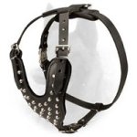 Decorated Leather Belgian Malinois Harness for Everyday Walking
