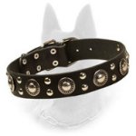 'Rock-n-Roll' Belgian Malinois Leather Dog Collar