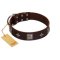 "Cold Star" Designer FDT Artisan Brown Leather Belgian Malinois Collar with Silver-Like Adornments