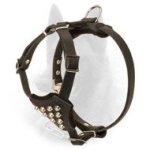 Classy Belgian Malinois Harness with Stud Decoration for Puppies