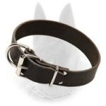 Leather Collar 1 1/2 inch Wide for Belgian Malinois