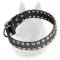 Belgian Malinois Leather Dog Collar Studded with Square Pyramids
