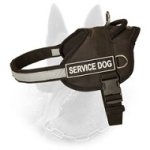 Nylon Belgian Malinois Harness with Reflective Strap for Training, Walking, Police Service, SAR and More