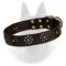 'Spring mood' Leather Belgian Malinois Collar for Stylish Walking