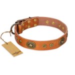 "Dandy Pet" FDT Artisan Handcrafted Tan Leather Belgian Malinois Collar