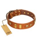 "Egyptian Script" FDT Artisan Tan Leather Belgian Malinois Collar with Plates and Small Studs