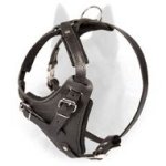 Agitation/Training Leather Dog Harness - Malinois Harness