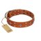 "Tawny Beauty" FDT Artisan Tan Leather Belgian Malinois Collar Adorned with Stars and Tiny Squares