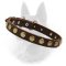 Belgian Malinois Studded Leather Dog Collar with Brass Circles