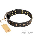 'A La Mode' FDT Artisan Handmade Black Leather Belgian Malinois Collar