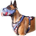 Malinois Leather Multi-Purpose Dog Harness For Tracking/Pulling