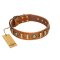 "Happy Hound" FDT Artisan Tan Leather Belgian Malinois Collar with Elegant Decorations