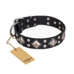 "Smart Geometry" FDT Artisan Studded Leather Belgian Malinois Collar