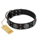 "Boundless Blue" FDT Artisan Black Leather Belgian Malinois Collar with Chrome Plated Brooches and Square Studs