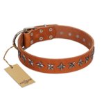 "Star Trek" FDT Artisan Tan Leather Belgian Malinois Collar Decorated with Stars