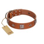 "Lucky Star" FDT Artisan Tan Leather Belgian Malinois Collar with Silver-Like Embellishments