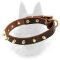 Belgian Malinois Spiked Leather Dog Collar with 1 Row of Brass Spikes