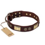 "Golden Stones" FDT Artisan Brown Leather Belgian Malinois Collar with Old Bronze Look Plates and Circles