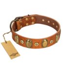 "Crystal Sand" FDT Artisan Tan Leather Belgian Malinois Collar with Vintage Looking Oval and Round Studs