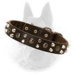 Belgian Malinois Studded Leather Dog Collar with Nickel Pyramids