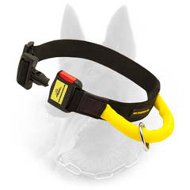 Belgian Malinios Nylon Collar With Handle And Quick Release Buckle